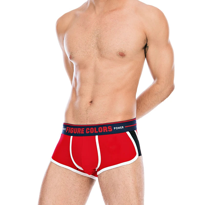 47558687916352|47558687949120|47558687981888|47558688014656|47558688047424